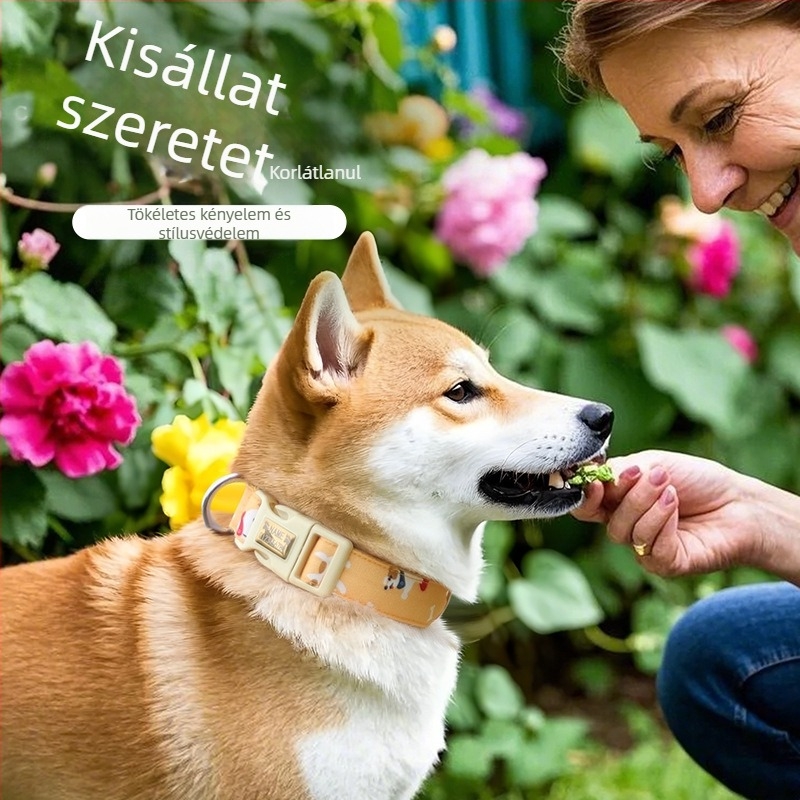 Nylon kutyanyakörv kis- és közepes testű kutyáknak, gravírozható, állítható, fényvisszaverő, az elvesztés megelőzésére