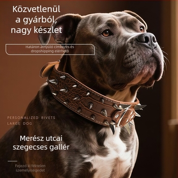 Nagy kutyáknak tervezett nyakörv szegekkel, harapás elleni védelem, krokodil minta, ívelt és széles kialakítás