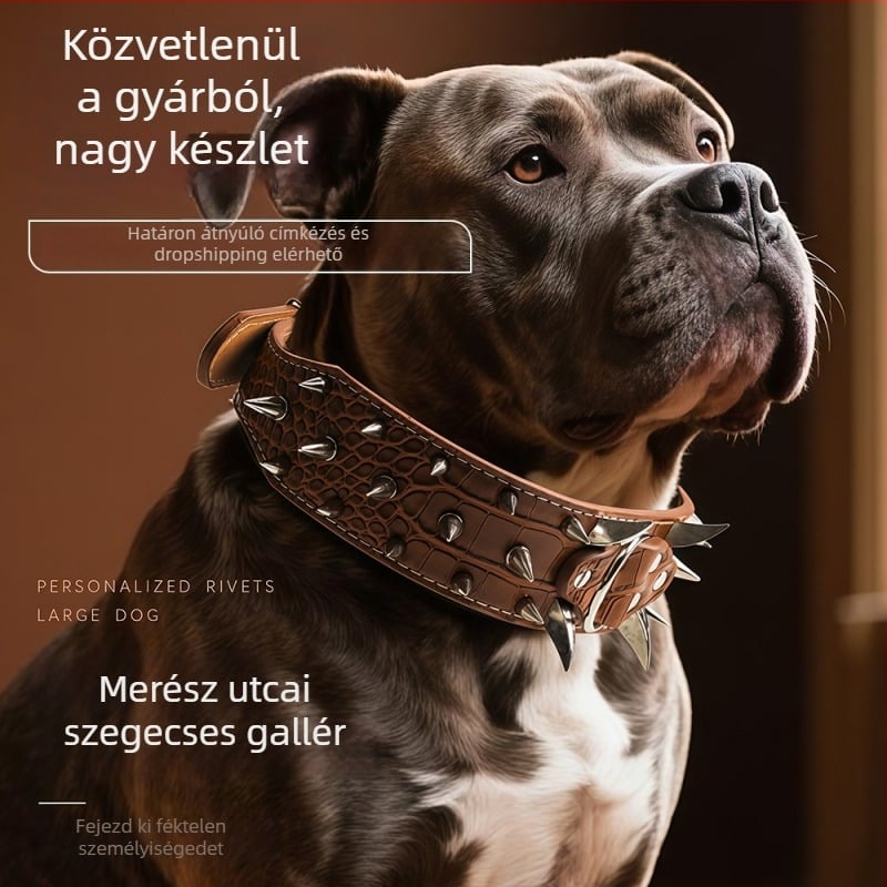 Nagy kutyáknak tervezett nyakörv szegekkel, harapás elleni védelem, krokodil minta, ívelt és széles kialakítás