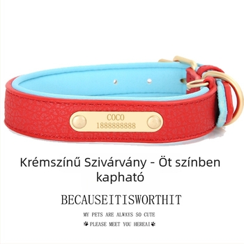 Bőrből készült kutyanyakörv azonosítótáblával – kisebb, közepes és nagytestű kutyáknak