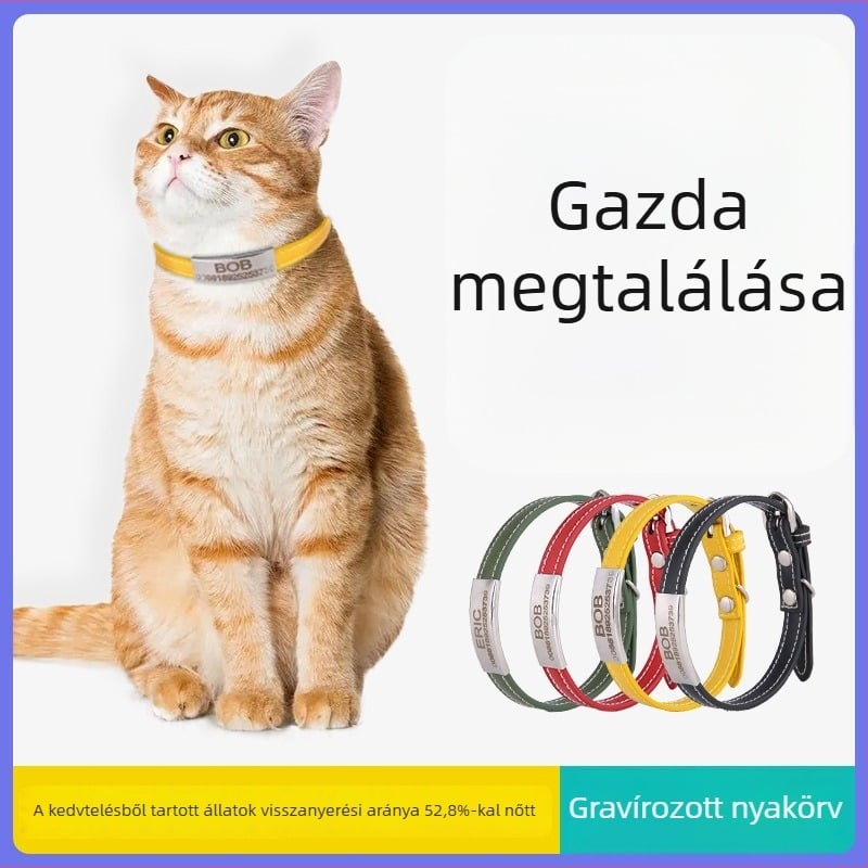 Elvesztés elleni nyakörv háziállatoknak lézergravírozással és azonosítótáblával macskáknak és kutyáknak