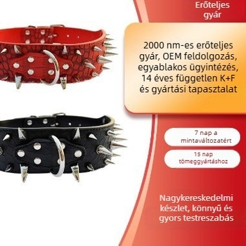 Nagy kutya nyakörv és póráz szegecsekkel, krokodil mintázat, farkasfog formájú tüskék, PU anyag