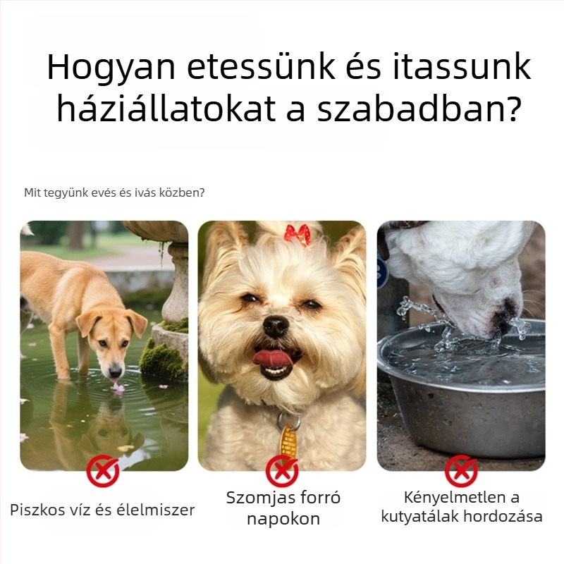 Összecsukható szilikon tál háziállatoknak, kültéri, hordozható etető- és itatótál kutyáknak és macskáknak