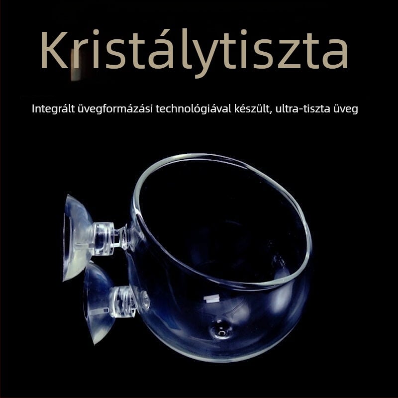 Üvegből készült akvárium vízi növényekkel és akváriumi tájépítéssel