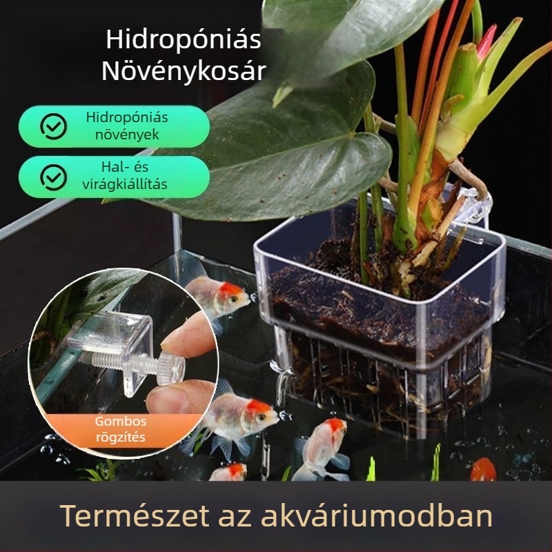 Átlátszó falra szerelhető hidroponikus növénykosár akváriumhoz
