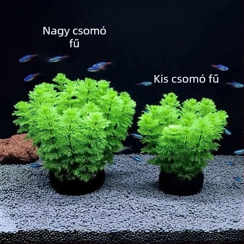 Zöld chrysanthemum vízi növény gömb alakú, oxigéntermelő, Betta-akvárium dekoráció, alsó kavics nélkül