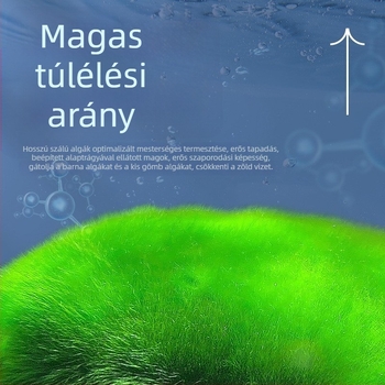 Yee Zöld algaspórák akváriumhoz, hosszú szőrű algák tenyészete, zöld moha akváriumi dekorációhoz, aranyhalak számára élelem