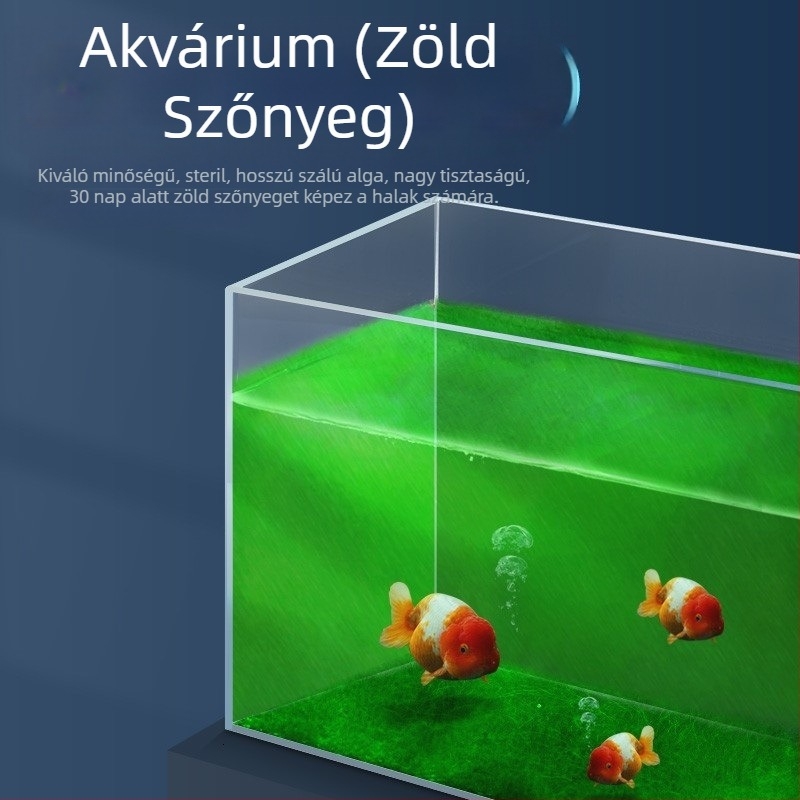 Yee Zöld algaspórák akváriumhoz, hosszú szőrű algák tenyészete, zöld moha akváriumi dekorációhoz, aranyhalak számára élelem