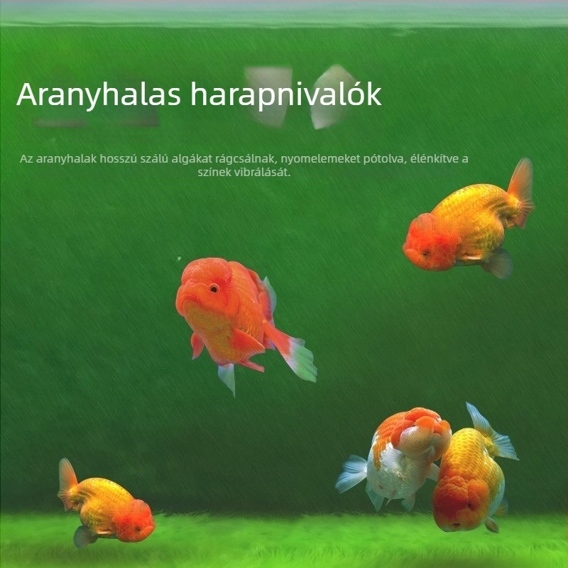 Yee Zöld algaspórák akváriumhoz, hosszú szőrű algák tenyészete, zöld moha akváriumi dekorációhoz, aranyhalak számára élelem