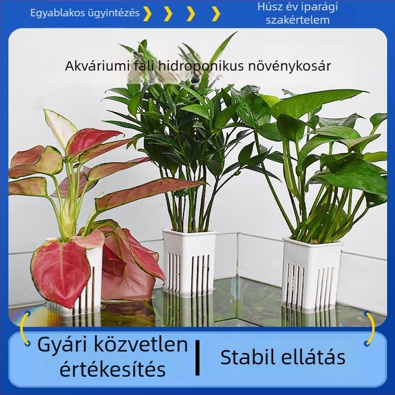 Falra szerelhető hidroponikus ültető pohár akváriumhoz, vízi növényeknek és akváriumi dekorációhoz