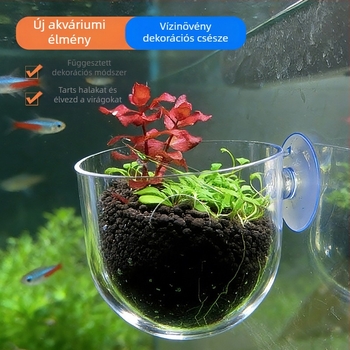 Aquascaping pohár asztali akváriumhoz
