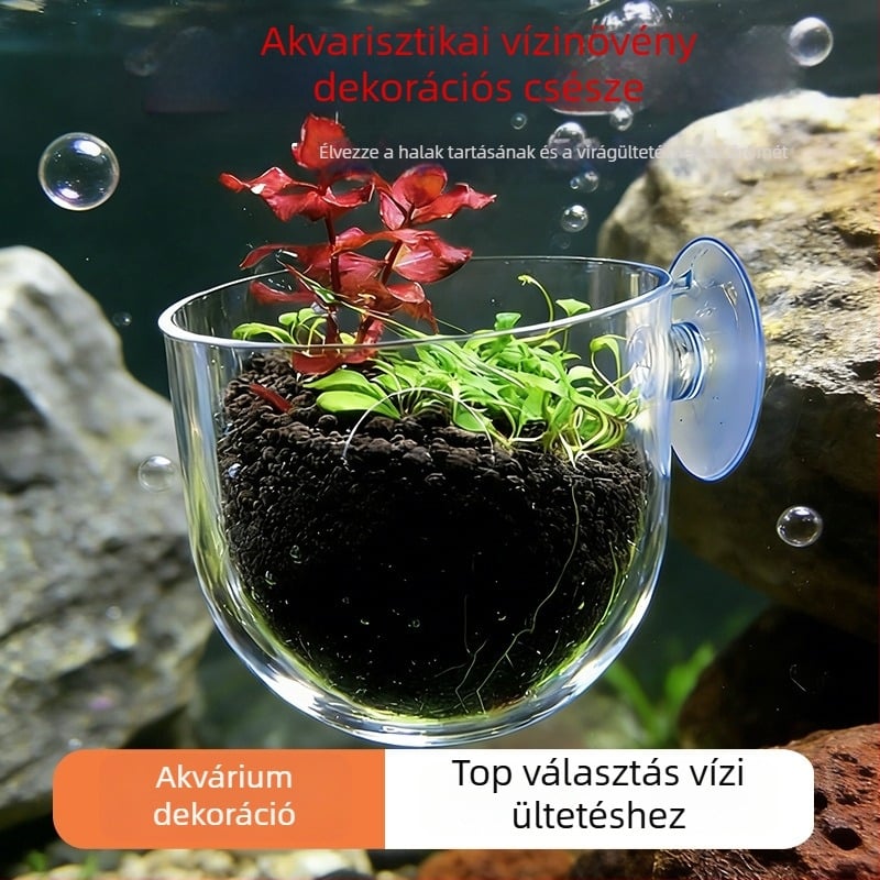 Aquascaping pohár asztali akváriumhoz