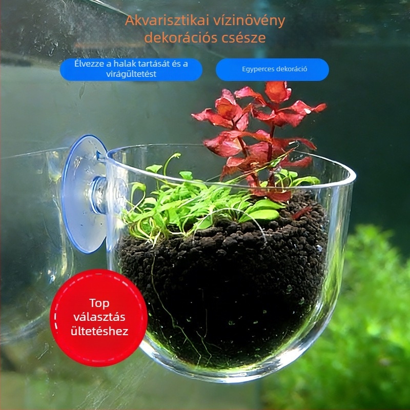 Aquascaping pohár asztali akváriumhoz