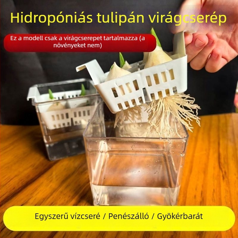 Tulipánok és liliomok számára különálló hidroponikus virágtartó, átlátszó és látható, kék ültetőedénnyel, lélegző, otthoni használatra