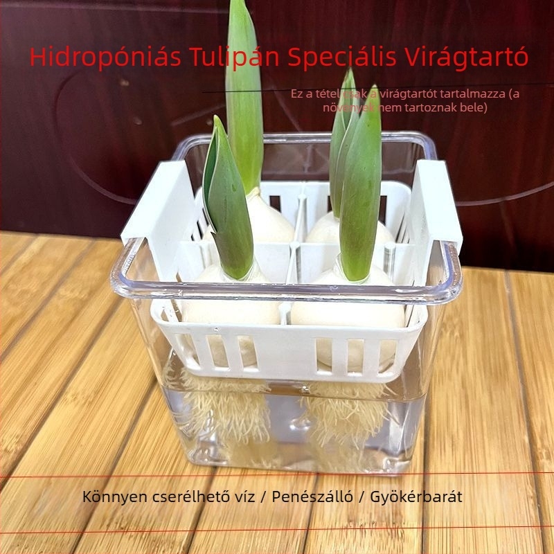 Hidropóniás tulipáncserép, átlátszó műgyanta váza, műanyag ültetőkosár, vízben nevelt tulipán hagymák