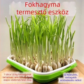 Erkélyre készített fokhagyma palánta-ültetőedények hidroponikus termesztéshez
