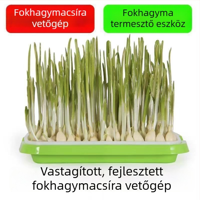 Erkélyre készített fokhagyma palánta-ültetőedények hidroponikus termesztéshez