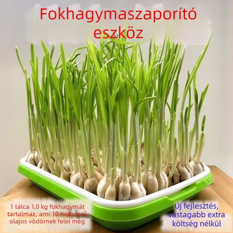 Erkélyre készített fokhagyma palánta-ültetőedények hidroponikus termesztéshez