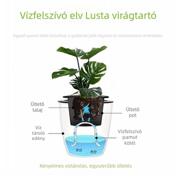 Önöntöző műanyag virágtartó pothos és pozsgások számára, beltéri használatra, asztalra vagy padlóra