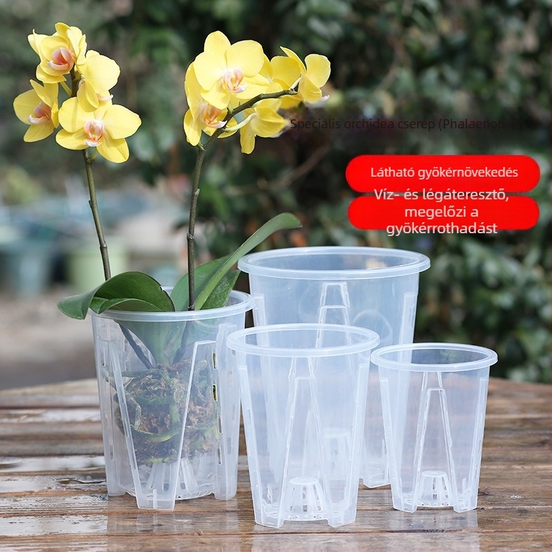 Phalaenopsis orchideára tervezett légoszlopos, átlátszó, extralarge átmérőjű kör alakú műanyag asztali virágtartó