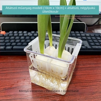 Hidroponikus tulipánokhoz készült átlátszó üvegváz műanyag ültetőkosárral