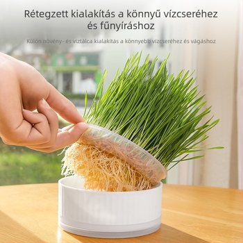 Ehető macskamenta – cseréptálcás búzacsíranövény, talaj nélküli hidroponika, saját nevelésű jutalom macskáknak