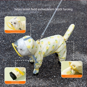 Kis testű kutyák számára esőkabát – Teddy és Bichon – teljes körű négylábú esőruha sétákhoz