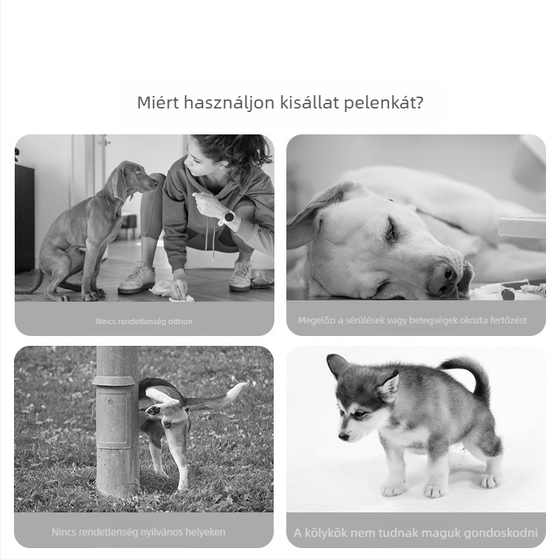 Légáteresztő kutyapelenka hímnemű kutyáknak, gyors felszívódás, szivárgás elleni védelem, higiénikus háziállat nadrág.