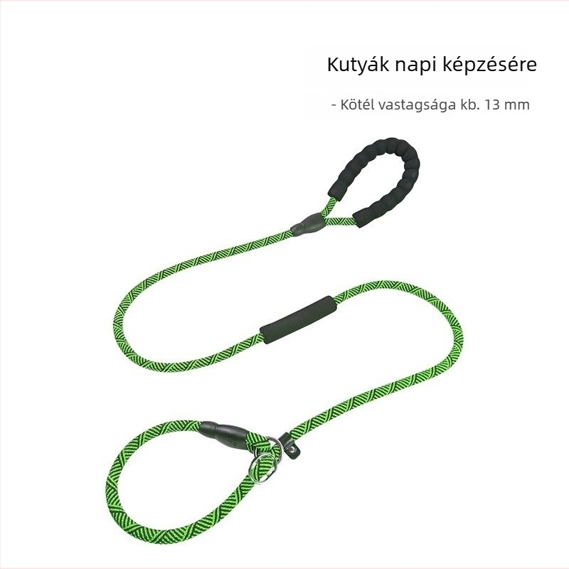 Kutyatréning póráz kölyökkutyáknak, kis– és nagytestű fajtákhoz — Border Collie, Golden Retriever, Corgi