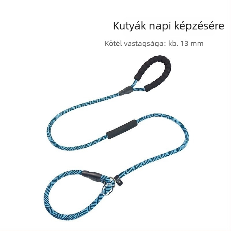 Kutyatréning póráz kölyökkutyáknak, kis– és nagytestű fajtákhoz — Border Collie, Golden Retriever, Corgi