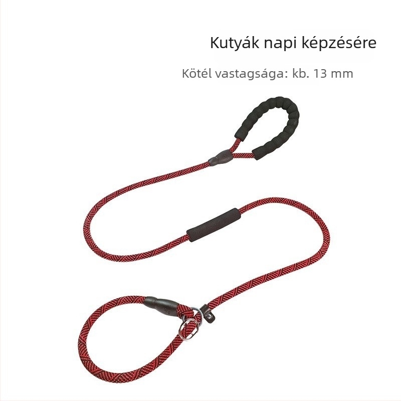Kutyatréning póráz kölyökkutyáknak, kis– és nagytestű fajtákhoz — Border Collie, Golden Retriever, Corgi