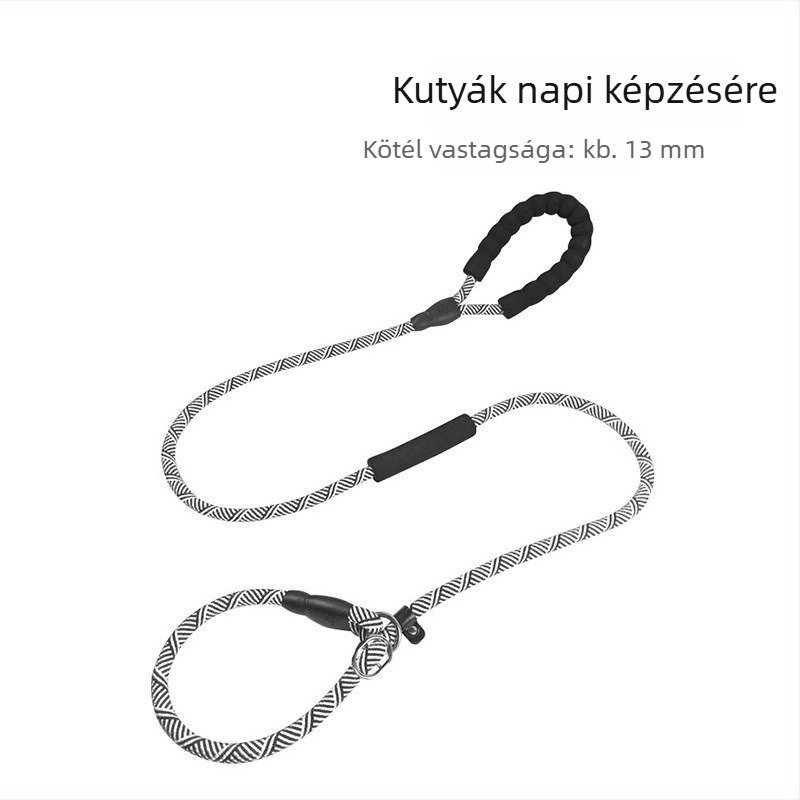 Kutyatréning póráz kölyökkutyáknak, kis– és nagytestű fajtákhoz — Border Collie, Golden Retriever, Corgi