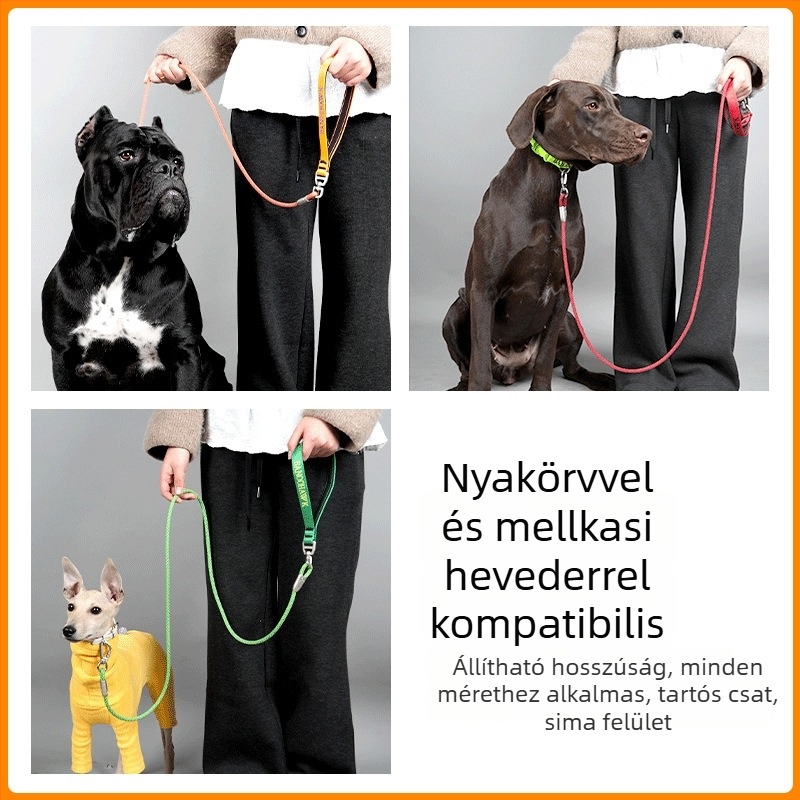 Forgó póráz kutyáknak anti-tekercselés funkcióval minden méretű kutyáknak és macskáknak