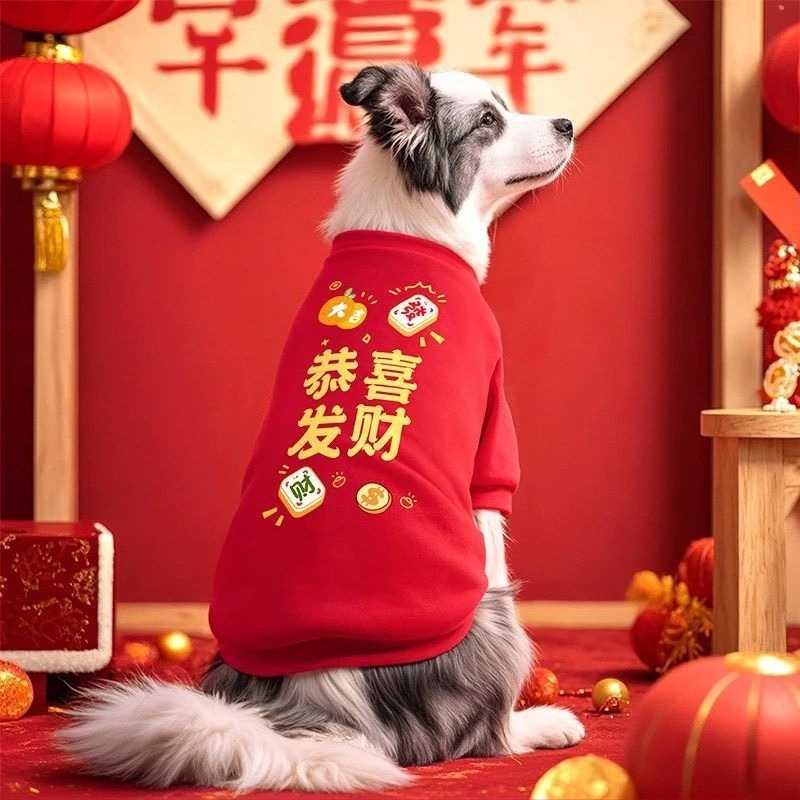 Nagytestű kutyák téli vastag bélelt kabátja: Golden Retriever és Border Collie