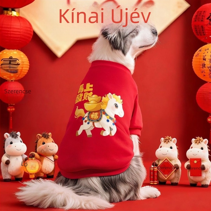 Nagytestű kutyák téli vastag bélelt kabátja: Golden Retriever és Border Collie