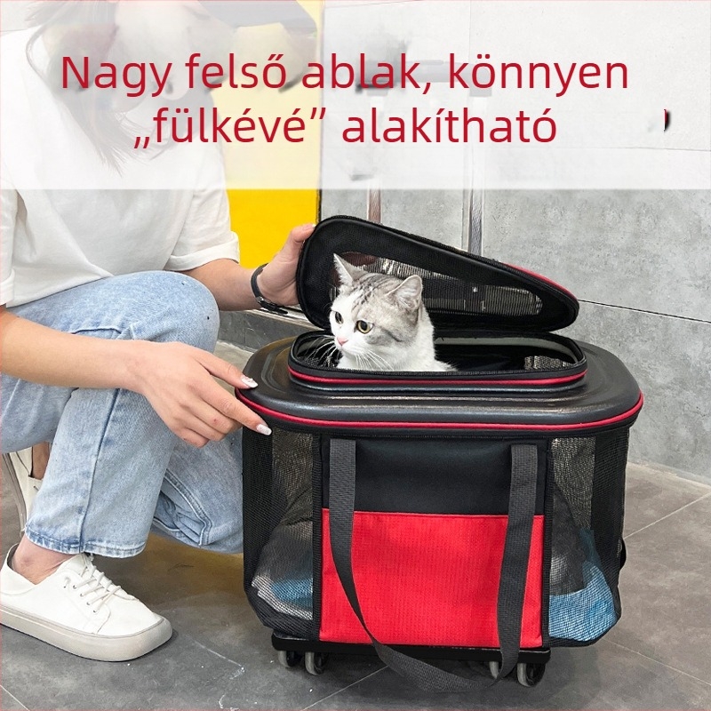 Légáteresztő hordozó macskáknak és kistestű kutyáknak, sétákhoz és autóutazásokhoz