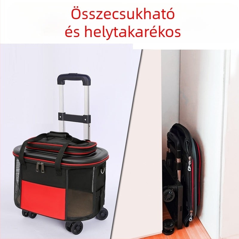 Légáteresztő hordozó macskáknak és kistestű kutyáknak, sétákhoz és autóutazásokhoz