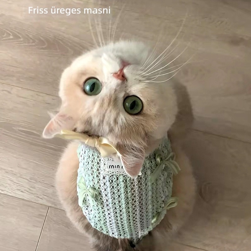 Kis méretű kutyák és macskák mellénye, vékony, légáteresztő szív-mintás hálóval