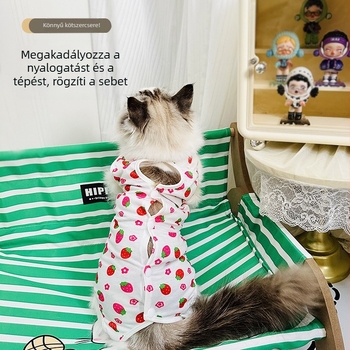 Macska posztoperatív ruházat sterilizálás után, nyalás elleni védelemmel, pánttal