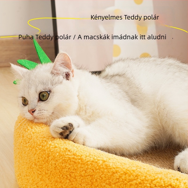 Ananász alakú macska karmoló tábla és fészek, teljes sizálból, kopásálló, szöszmentes