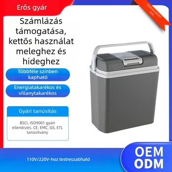 Személyre szabott autóhűtő, hordozható szigetelt tároló, kültéri mini hűtő 20 L
