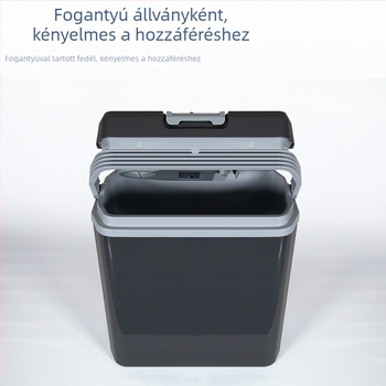 Személyre szabott autóhűtő, hordozható szigetelt tároló, kültéri mini hűtő 20 L
