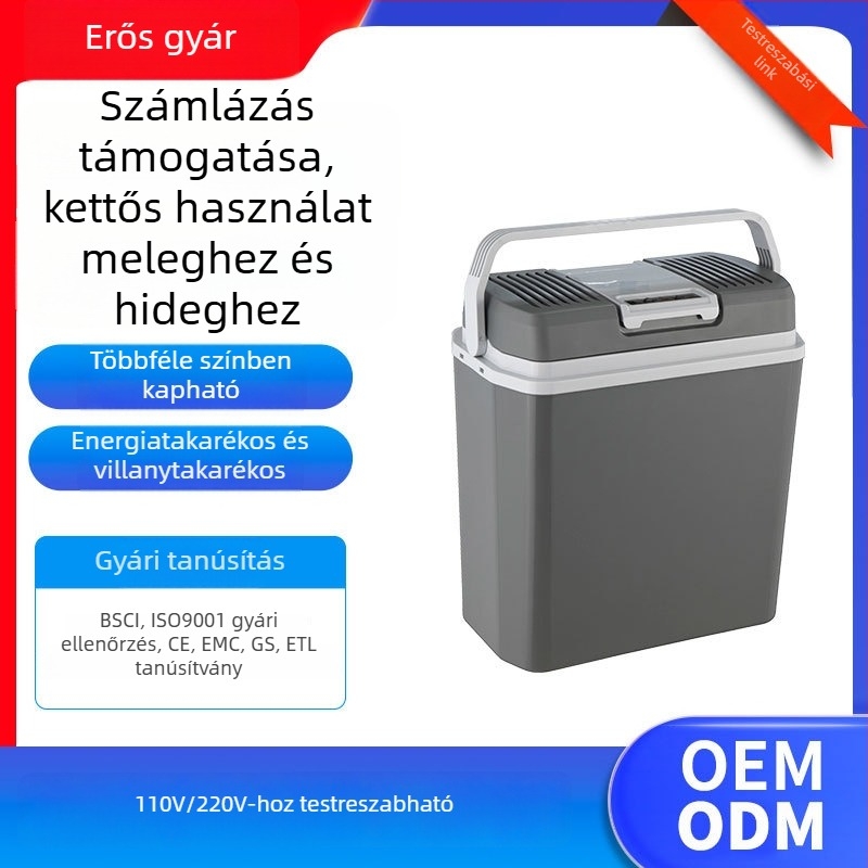 Személyre szabott autóhűtő, hordozható szigetelt tároló, kültéri mini hűtő 20 L