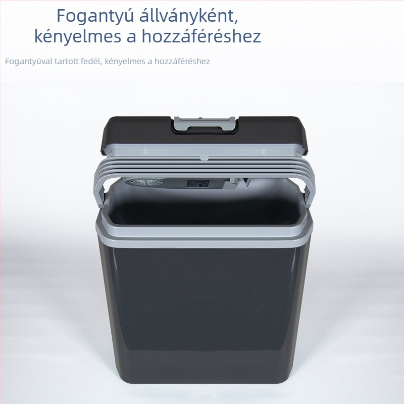 Személyre szabott autóhűtő, hordozható szigetelt tároló, kültéri mini hűtő 20 L