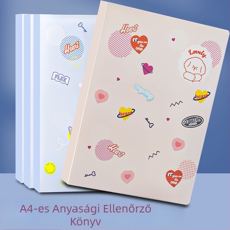 A4 terhességi vizsgálatok és prenatális feljegyzések szervezője — átlátszó többszintű mappa