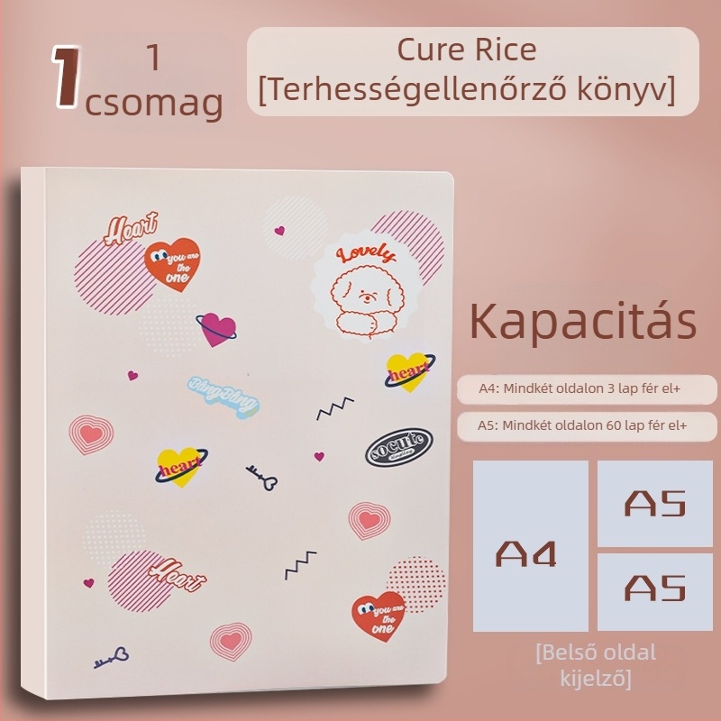 A4 terhességi vizsgálatok és prenatális feljegyzések szervezője — átlátszó többszintű mappa