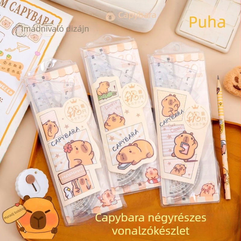 Kapibara rugalmas vonalzó készlet, 20 cm, 4 darab – rajzoláshoz és méréshez
