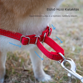 Nylon mellény hám nagytestű kutyáknak