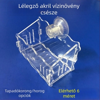 Dekoratív akril növényültető pohár vízi növényekhez, falra szerelhető szívókoronggal
