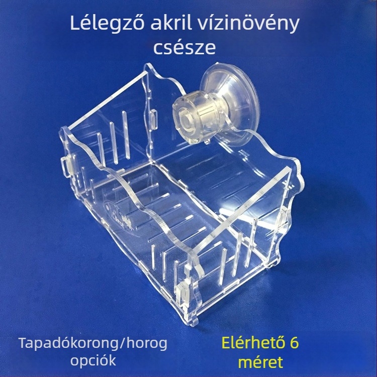Dekoratív akril növényültető pohár vízi növényekhez, falra szerelhető szívókoronggal